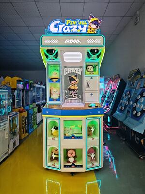 Stable Running Crazy Pinball Machine, High Playability for Indoor Playground Venue